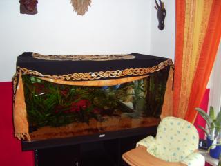 300 liter aquarium mit schrank.