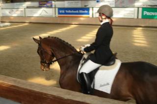 Suche Reitbeteiligung in 46397 u. nähere Umgebung