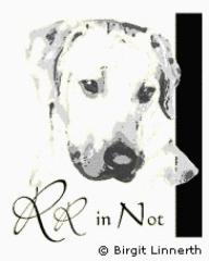Ridgeback in Not. Wir helfen