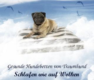 Schlafen wie auf Wolken - gesundes Hundebett Gr. S