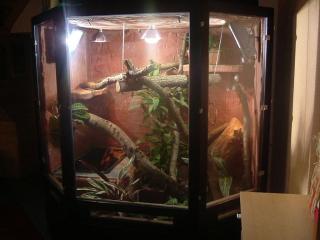 Großraumterrarium 2 x 1, 5 x 2 m