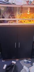 2 Geckos mit Terrarium und Unterschrank