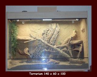 Terrarium 140x 60 x 100 hochwertig