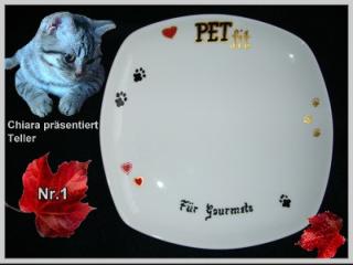 Ein besonderes Weihnachtsgeschenk