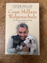 Buch Hundeerziehung von Cesar Milan