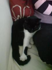 SUCHE DINGEND EIN NEUES ZUHAUSE