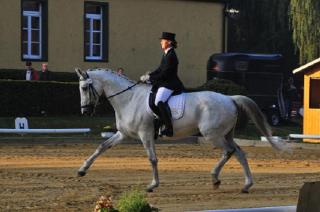 Biete Reitbeteiligung in Oberhausen