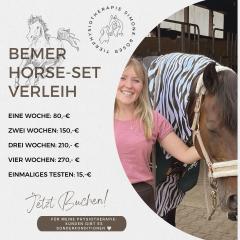 BEMER HORSE SET Tierphysiotherapie