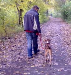 Aris dieser hübsche Hundejunge hatte noch nie ein eigenes Zuhause