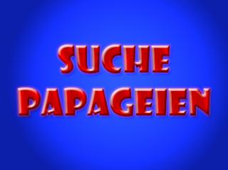 Suche Papageienpaar
