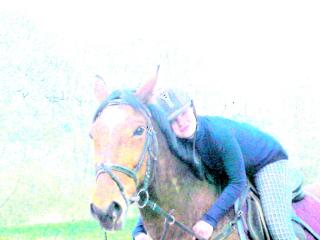 Suche ganz dringend Reitbeteiligung