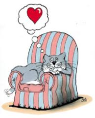 Wir bieten ein liebevolles Katzen-Zuhause
