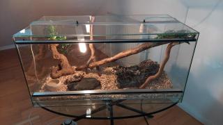 Reptilien-Terrarium