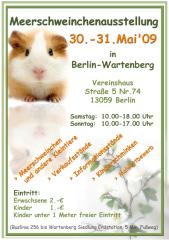 Meerschweinchenausstellung