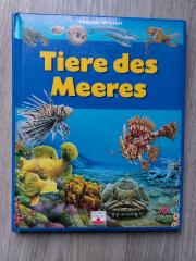 Fleurus Wissen Tiere des Meeres Naturbuch Ozean Tierbuch
