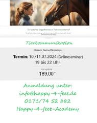 Tierkommunikation online Kurs