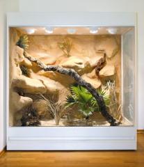 Terrarien vom Hoppe-Terrarienbau Terrarium in jeder Größe und Ausführung
