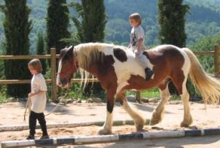 Ferien mit Pferden in der Toskana, Italien