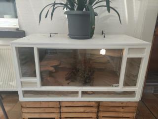 Bartagame mit Terrarium und viel Zubehör