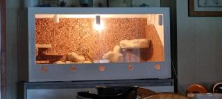 Terrarium PVC 110x55x55 mit Technik