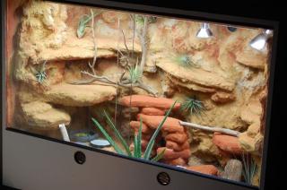 2 x Wüsten-Terrarien 1x Innen-Terra. Beleuchtung 1x Außen Terra für Bart