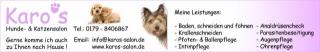 Mobiler Hunde- und Katzenfriseur Pflege