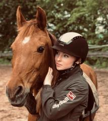 Suche Ponystute zum Kauf