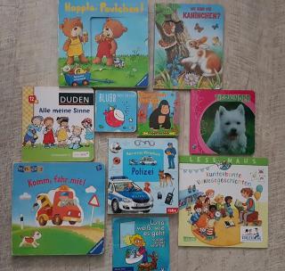 Set Bücher Kinderbücher Tierbuch Ministeps Klappenbuch