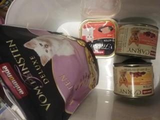 Kitten Futter zu verschenken