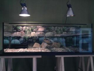 Schildkröte Aquarium 150cm Zubehör