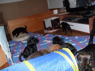 Hurra unsere Welpen sind da