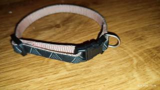Neu Nylon Halsband Welpen Hunde katze S schwarz Dreieckmotiv