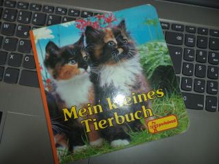 Pestalozzi Pappbuch Bilderbuch Kleinkindalter Tierbuch Hund Katze