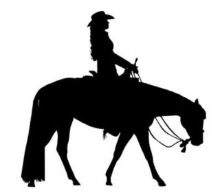 Biete Western Reitbeteiligung