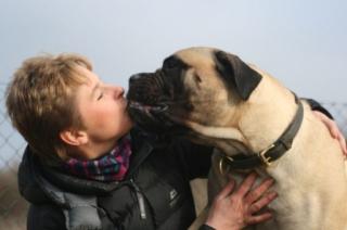 Michelle s Hundeschule Michelle s HundeKITA
