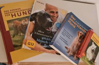 Bücher Hundeerziehung Welpen Hund Hundebücher