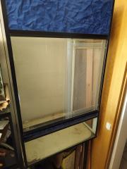 Chamäleon Terrarium zu verkaufen
