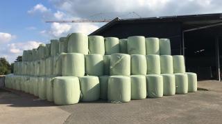 Maisballen Silomais Rinderfutter Pferdefutter