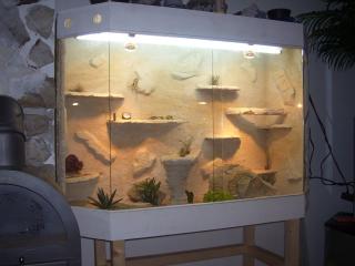 Neue Terrarien Saugünstig