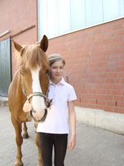 Wer stellt mir sein Pferd/Pony zur Verfügung