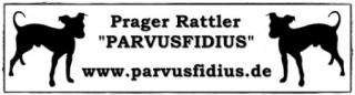 Prager Rattler Parvusfidius erwarten Welpen
