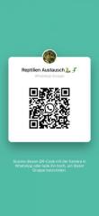Reptilien WhatsApp Gruppe