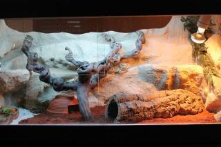 Holzterrarium 1, 20x60x60 mit 3D Rück-u. Seitenwänden in Felsoptik, fast neu
