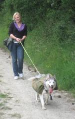 Gassigänger für Ihren Hund Kreis Köln /Euskirchen