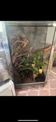 Terrarium für Echsen, Chamäleon etc