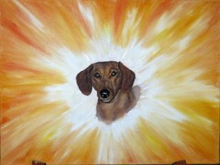 Hunde - Energiebild