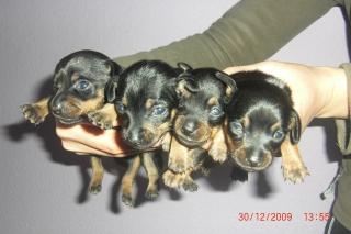 Unsere süßen Babys sind da