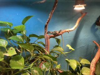 Wasseragame 0. 0. 2