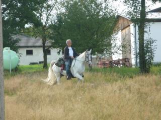 Reiterferien -1000km Wanderritt