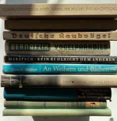 Konvolut Tierbücher Vögel, Raubvögel, Kein Ei gleicht dem anderen
